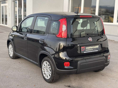 Fiat Panda Vorführwagen Fiat Panda Vorführwagen
