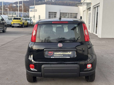 Fiat Panda Vorführwagen Fiat Panda Vorführwagen