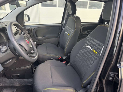 Fiat Panda Vorführwagen Fiat Panda Vorführwagen