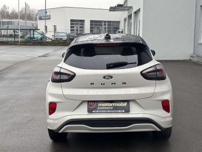 Ford Puma Neuwagen