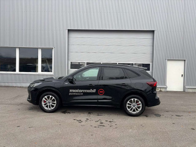 Ford Kuga Vorführwagen Ford Kuga Vorführwagen