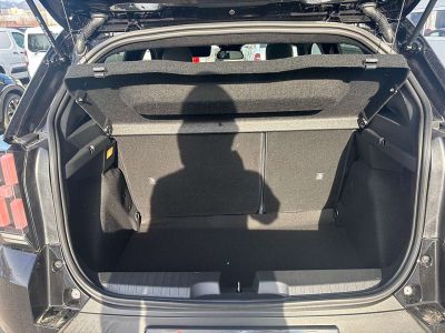 Fiat Grande Panda Tageszulassung