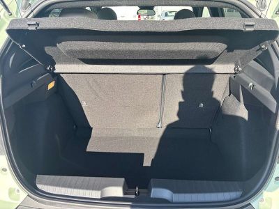 Fiat Grande Panda Tageszulassung