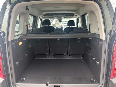 Fiat Doblo Tageszulassung