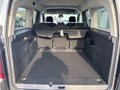 Fiat Doblo Tageszulassung