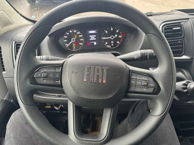 Fiat Ducato Tageszulassung Fiat Ducato Tageszulassung