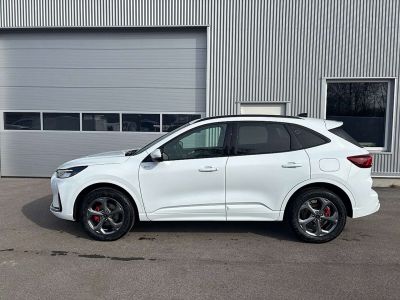 Ford Kuga Neuwagen