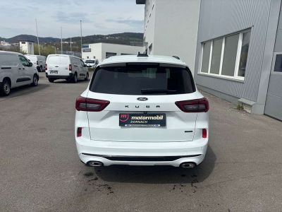 Ford Kuga Neuwagen