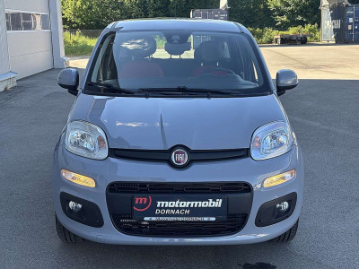 Fiat Panda Gebrauchtwagen