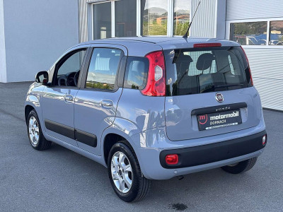 Fiat Panda Gebrauchtwagen