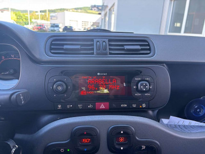 Fiat Panda Gebrauchtwagen