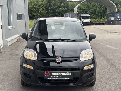 Fiat Panda Tageszulassung Fiat Panda Tageszulassung