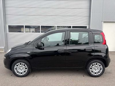 Fiat Panda Tageszulassung Fiat Panda Tageszulassung