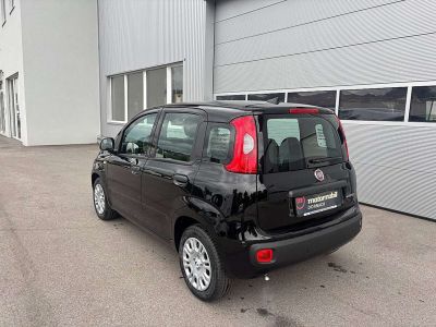 Fiat Panda Tageszulassung Fiat Panda Tageszulassung