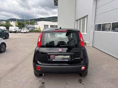 Fiat Panda Tageszulassung Fiat Panda Tageszulassung