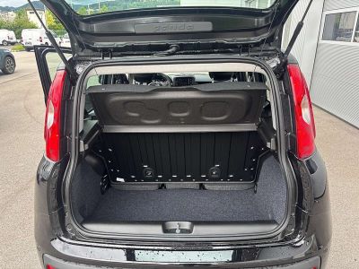 Fiat Panda Tageszulassung Fiat Panda Tageszulassung