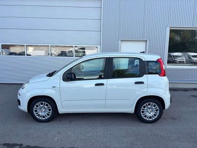Fiat Panda Tageszulassung Fiat Panda Tageszulassung
