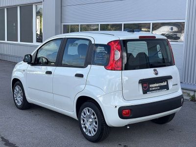 Fiat Panda Tageszulassung Fiat Panda Tageszulassung