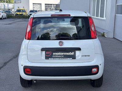 Fiat Panda Tageszulassung Fiat Panda Tageszulassung