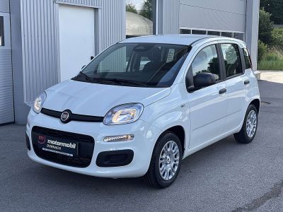 Fiat Panda Tageszulassung Fiat Panda Tageszulassung