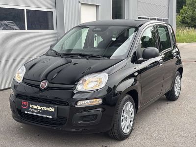 Fiat Panda Tageszulassung Fiat Panda Tageszulassung