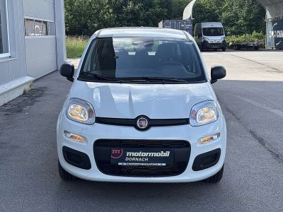 Fiat Panda Tageszulassung Fiat Panda Tageszulassung