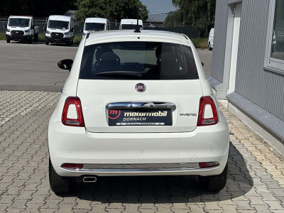 Fiat 500 Gebrauchtwagen