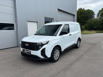 Ford Transit Neuwagen