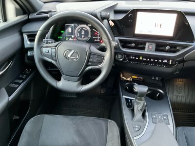 Lexus UX Gebrauchtwagen