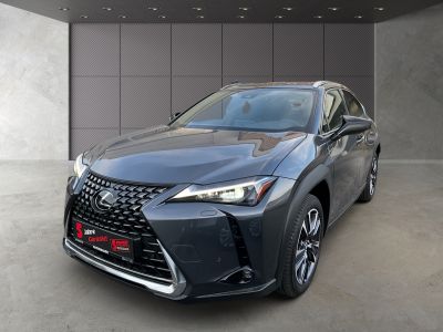 Lexus UX Gebrauchtwagen