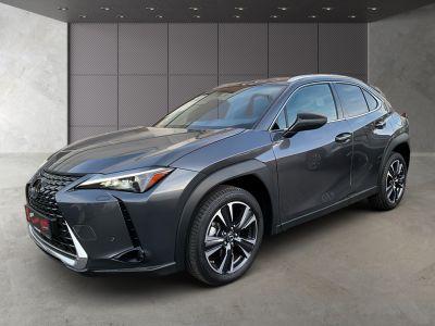 Lexus UX Gebrauchtwagen