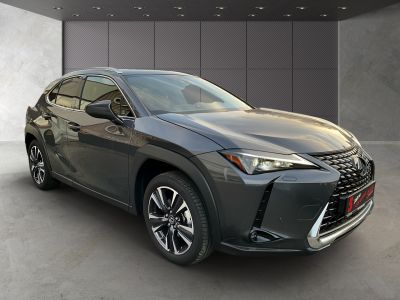 Lexus UX Gebrauchtwagen