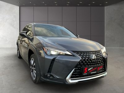 Lexus UX Gebrauchtwagen