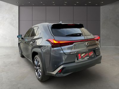 Lexus UX Gebrauchtwagen