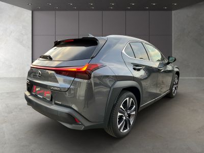 Lexus UX Gebrauchtwagen