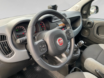 Fiat Panda Gebrauchtwagen Fiat Panda Gebrauchtwagen