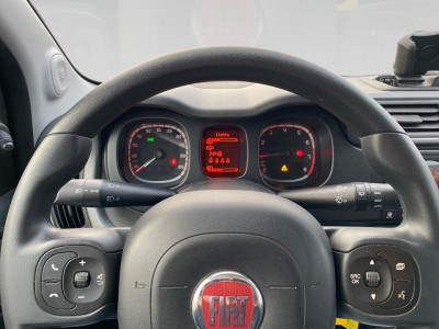 Fiat Panda Gebrauchtwagen Fiat Panda Gebrauchtwagen