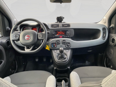 Fiat Panda Gebrauchtwagen Fiat Panda Gebrauchtwagen