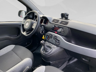 Fiat Panda Gebrauchtwagen Fiat Panda Gebrauchtwagen