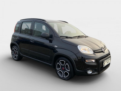 Fiat Panda Gebrauchtwagen Fiat Panda Gebrauchtwagen