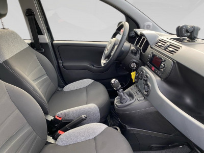 Fiat Panda Gebrauchtwagen Fiat Panda Gebrauchtwagen