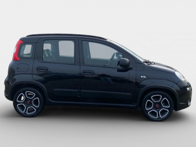 Fiat Panda Gebrauchtwagen Fiat Panda Gebrauchtwagen