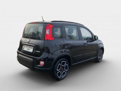 Fiat Panda Gebrauchtwagen Fiat Panda Gebrauchtwagen