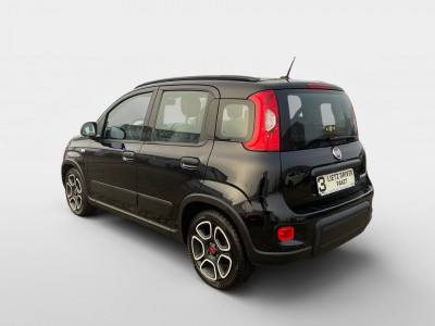 Fiat Panda Gebrauchtwagen Fiat Panda Gebrauchtwagen