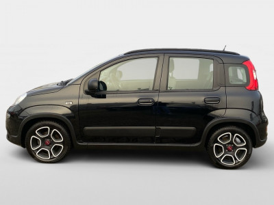 Fiat Panda Gebrauchtwagen Fiat Panda Gebrauchtwagen