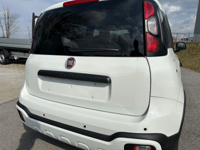Fiat Panda Gebrauchtwagen Fiat Panda Gebrauchtwagen