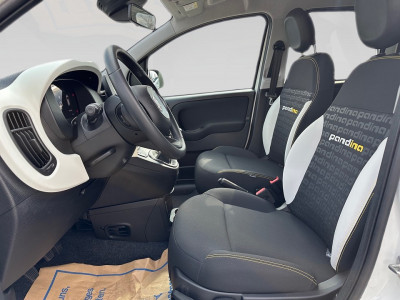 Fiat Panda Gebrauchtwagen Fiat Panda Gebrauchtwagen