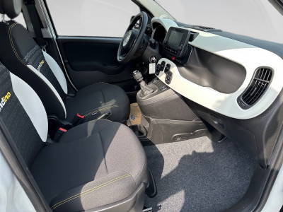 Fiat Panda Gebrauchtwagen Fiat Panda Gebrauchtwagen