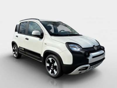 Fiat Panda Gebrauchtwagen Fiat Panda Gebrauchtwagen