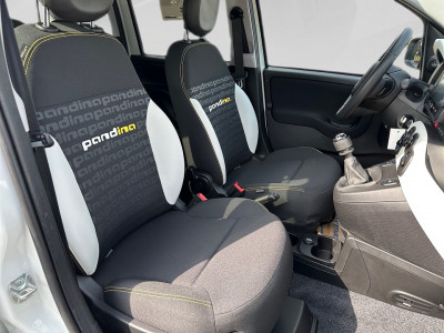 Fiat Panda Gebrauchtwagen Fiat Panda Gebrauchtwagen